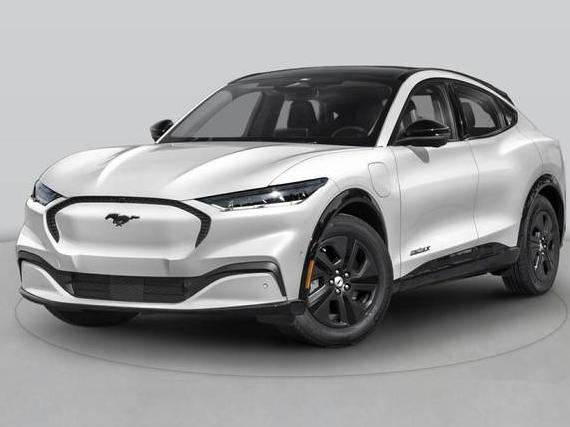 FORD MUSTANG MACH-E 2022 3FMTK1RM1NMA22253 image
